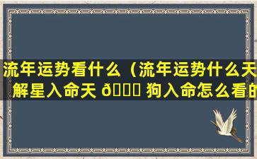 流年运势看什么（流年运势什么天解星入命天 🍁 狗入命怎么看的）